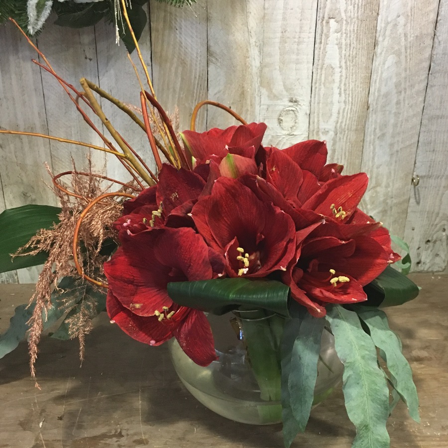 Amaryllis Flower Arrangement in Reds