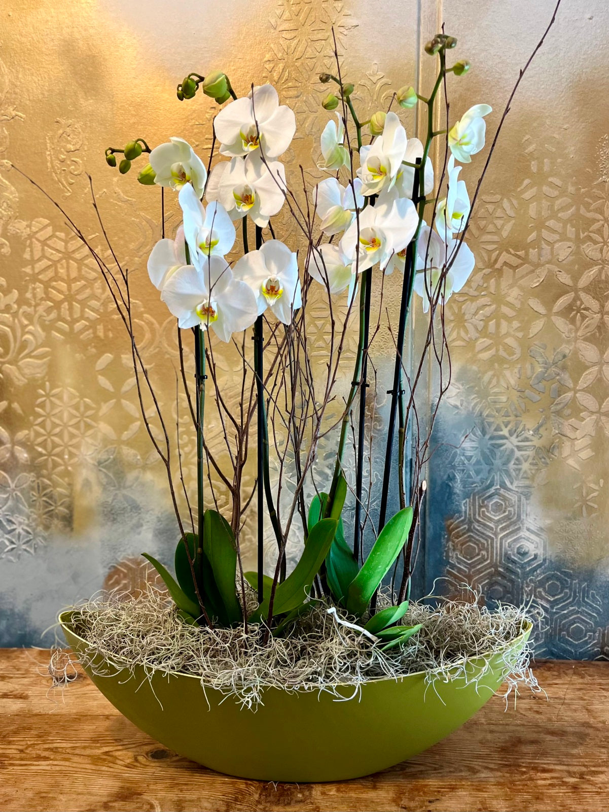 White Orchid Plants in Boat Shaped Container