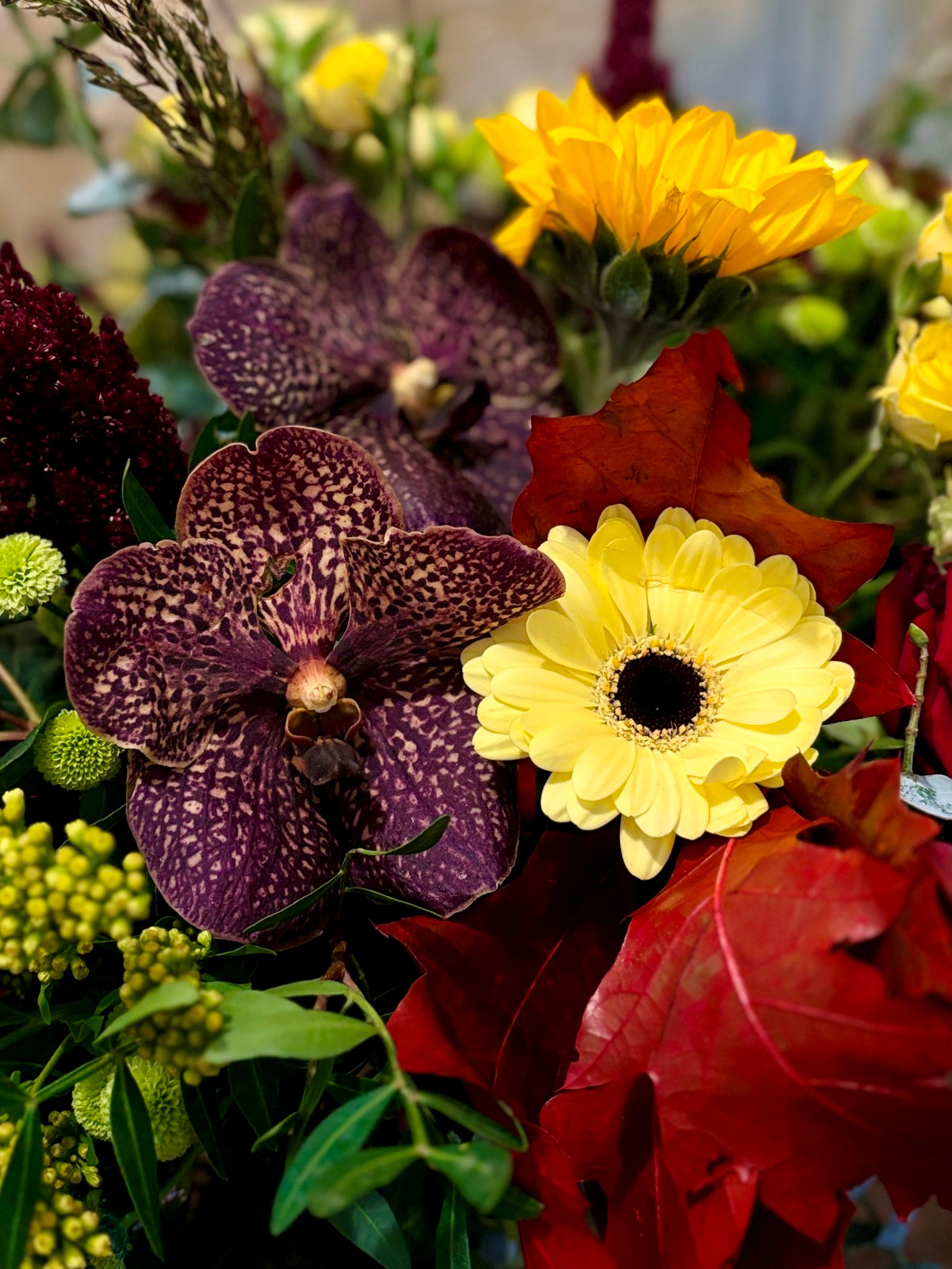 Catch of The Day Bouquet - a seasonal subscription hand tied flower bouquet